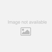 Chop Saw 14 110V